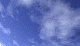 airplane.gif